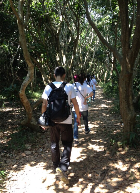 “心港灣、新征途”－招商港灣集團馬巒山徒步活動-