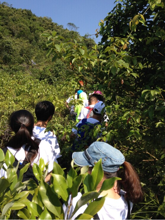 “心港灣、新征途”－招商港灣集團馬巒山徒步活動-