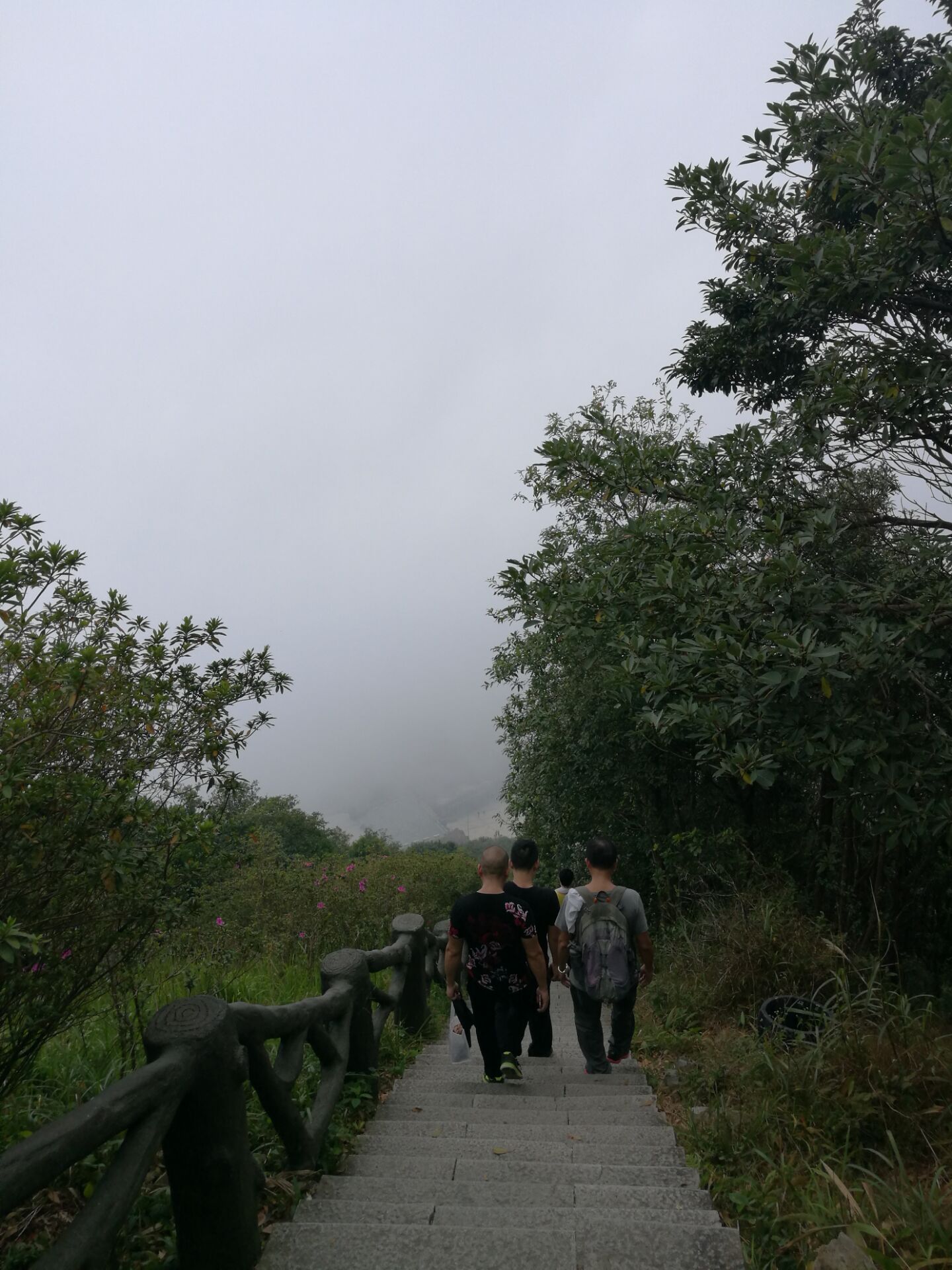 2017年“凝聚力，勇攀登”登梧桐山活動-