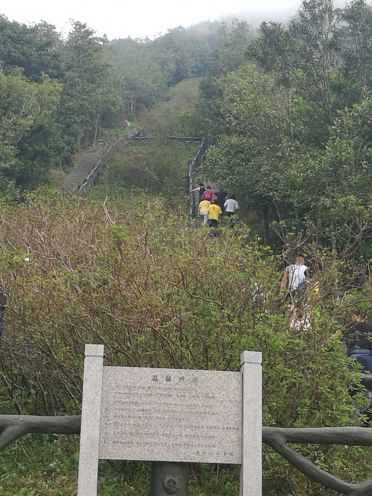 2017年“凝聚力，勇攀登”登梧桐山活動-