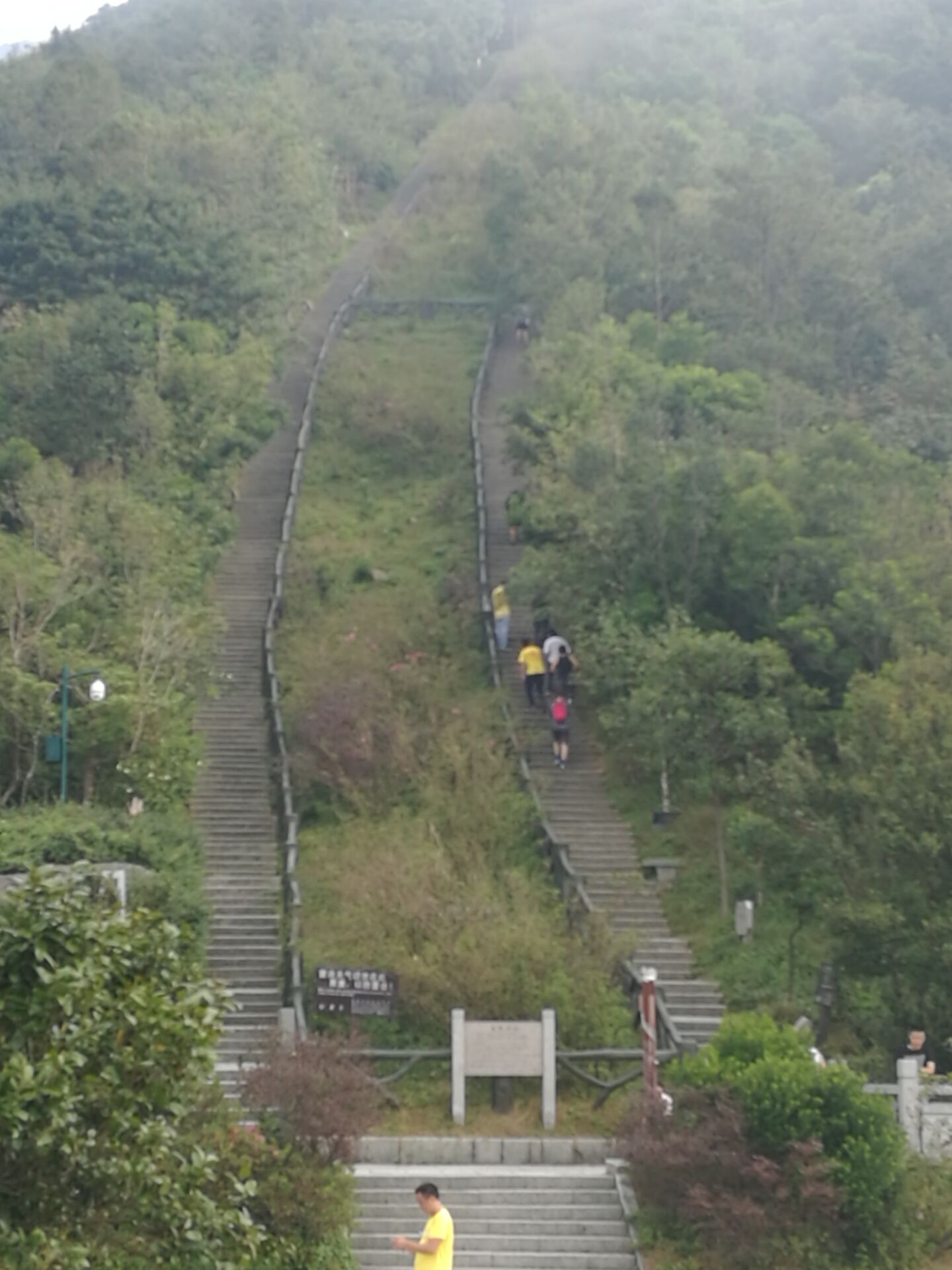 2017年“凝聚力，勇攀登”登梧桐山活動-