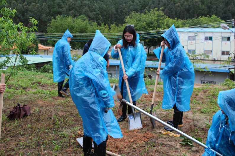 集團組織開展“我與小樹同成長”植樹節(jié)活動-