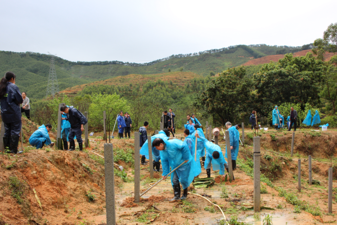 集團組織開展“我與小樹同成長”植樹節(jié)活動-